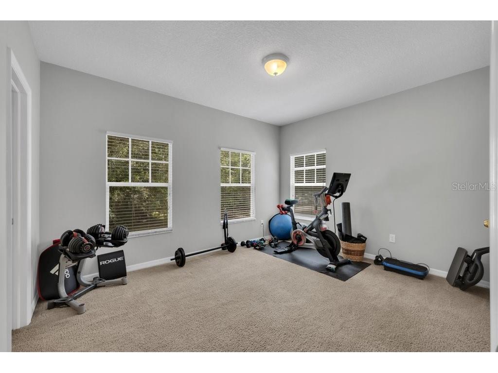 16007 Mulberrypark Circle Lithia FL 33547 TB8517217 image30