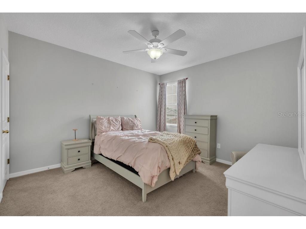 16007 Mulberrypark Circle Lithia FL 33547 TB8517217 image31