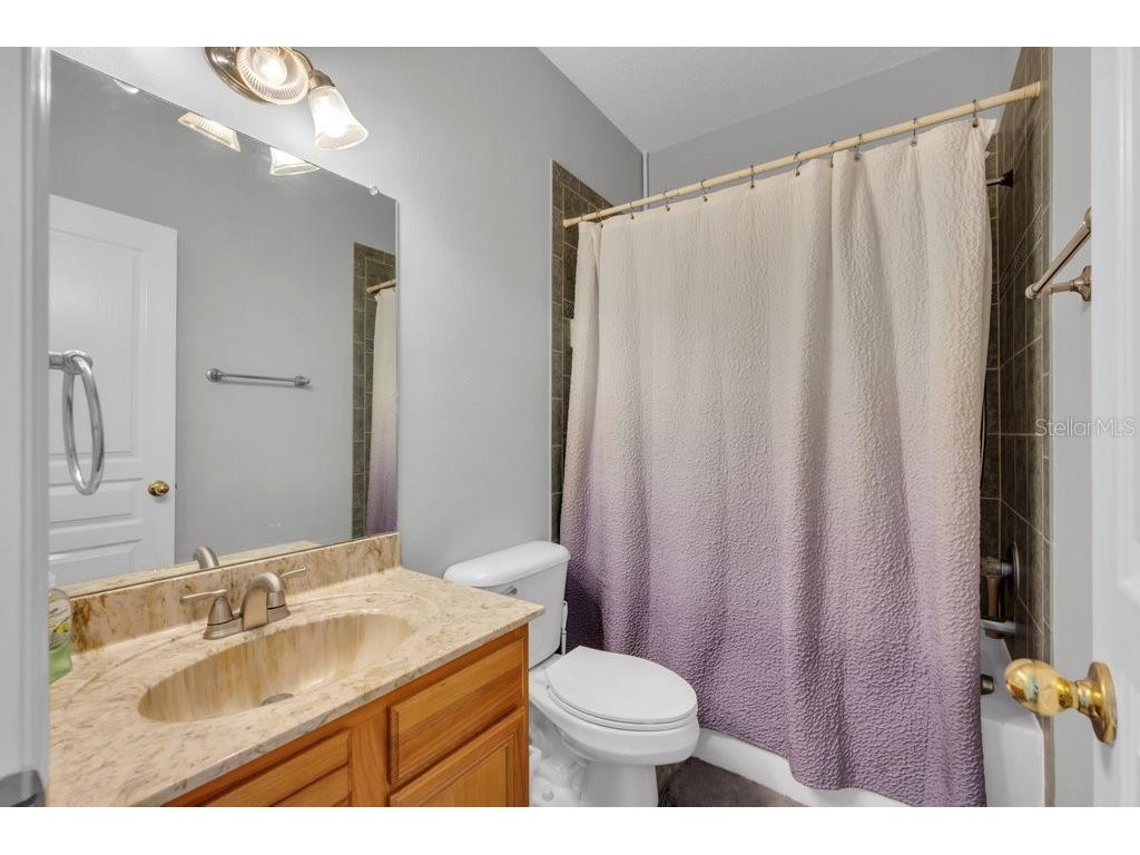 16007 Mulberrypark Circle Lithia FL 33547 TB8517217 image32