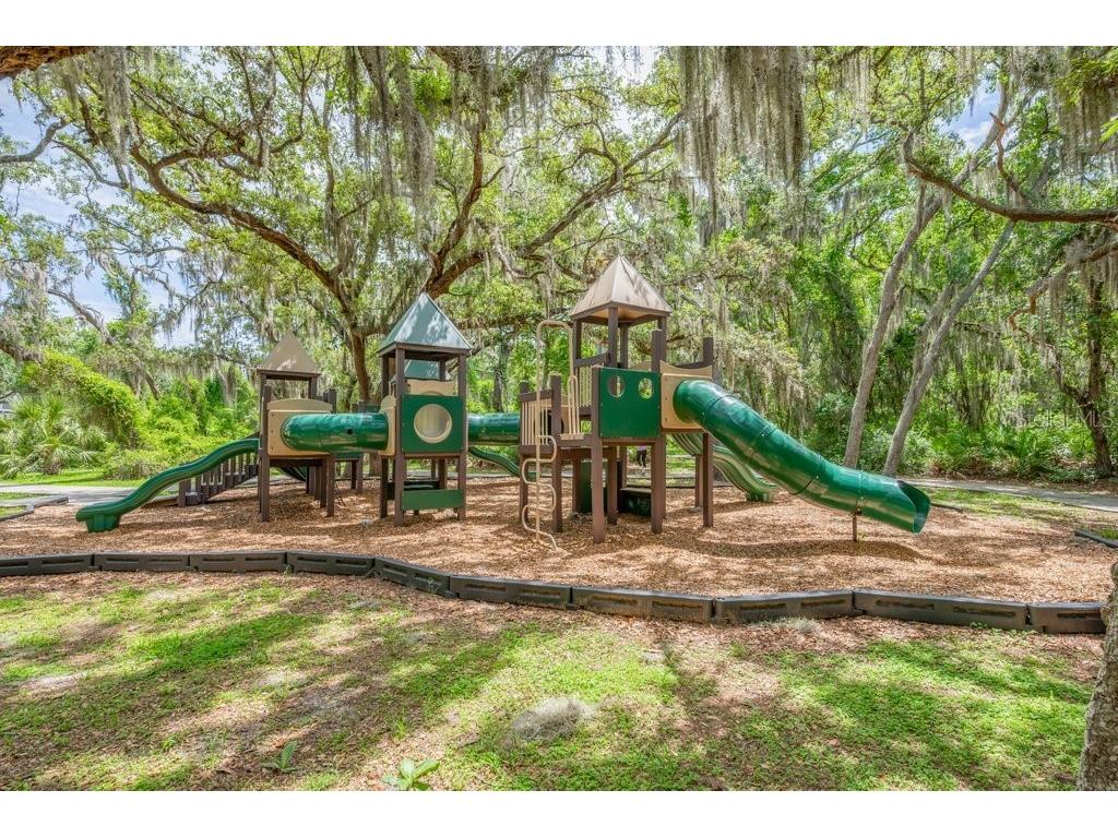 16007 Mulberrypark Circle Lithia FL 33547 TB8517217 image37
