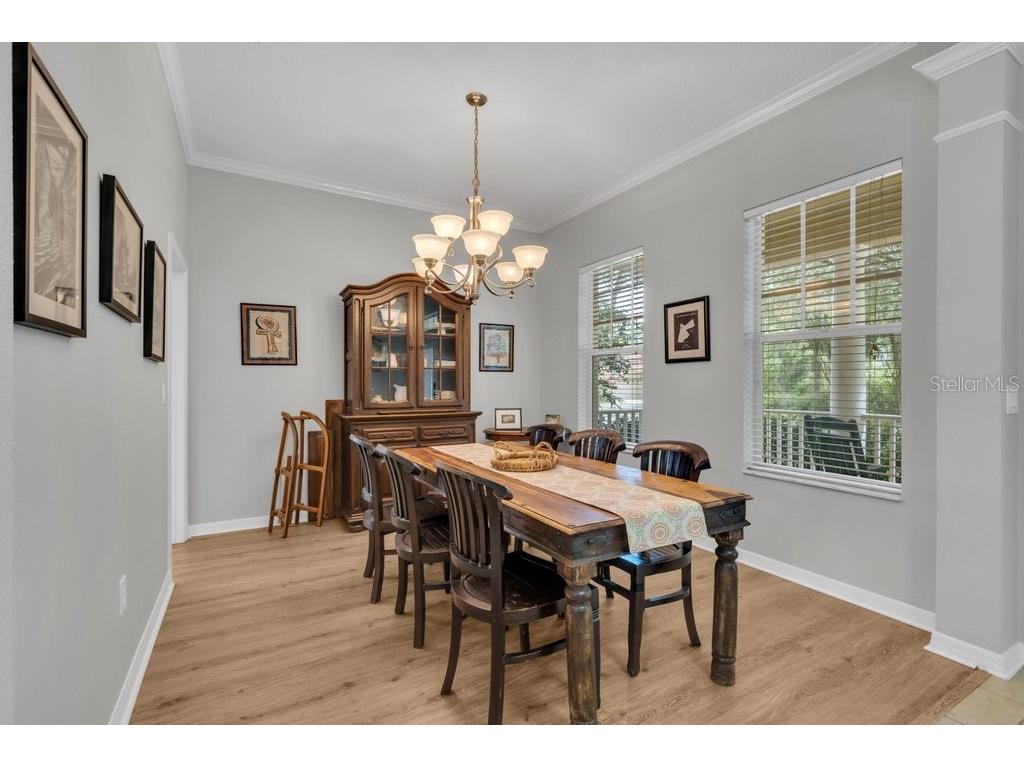16007 Mulberrypark Circle Lithia FL 33547 TB8517217 image4