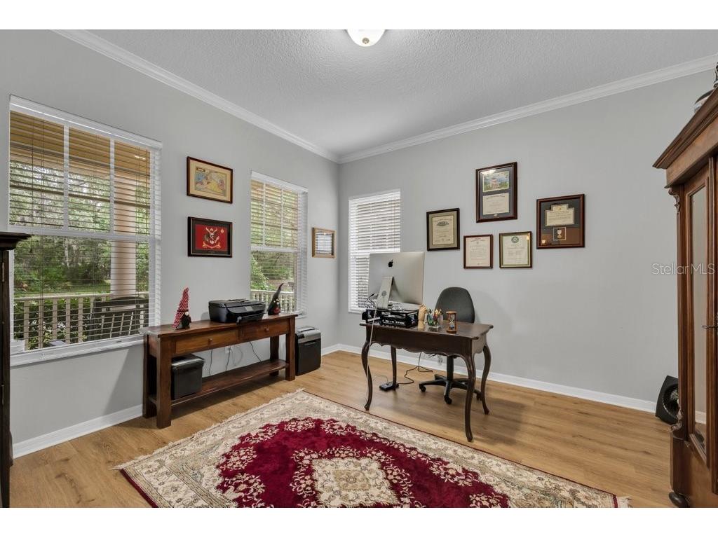 16007 Mulberrypark Circle Lithia FL 33547 TB8517217 image6