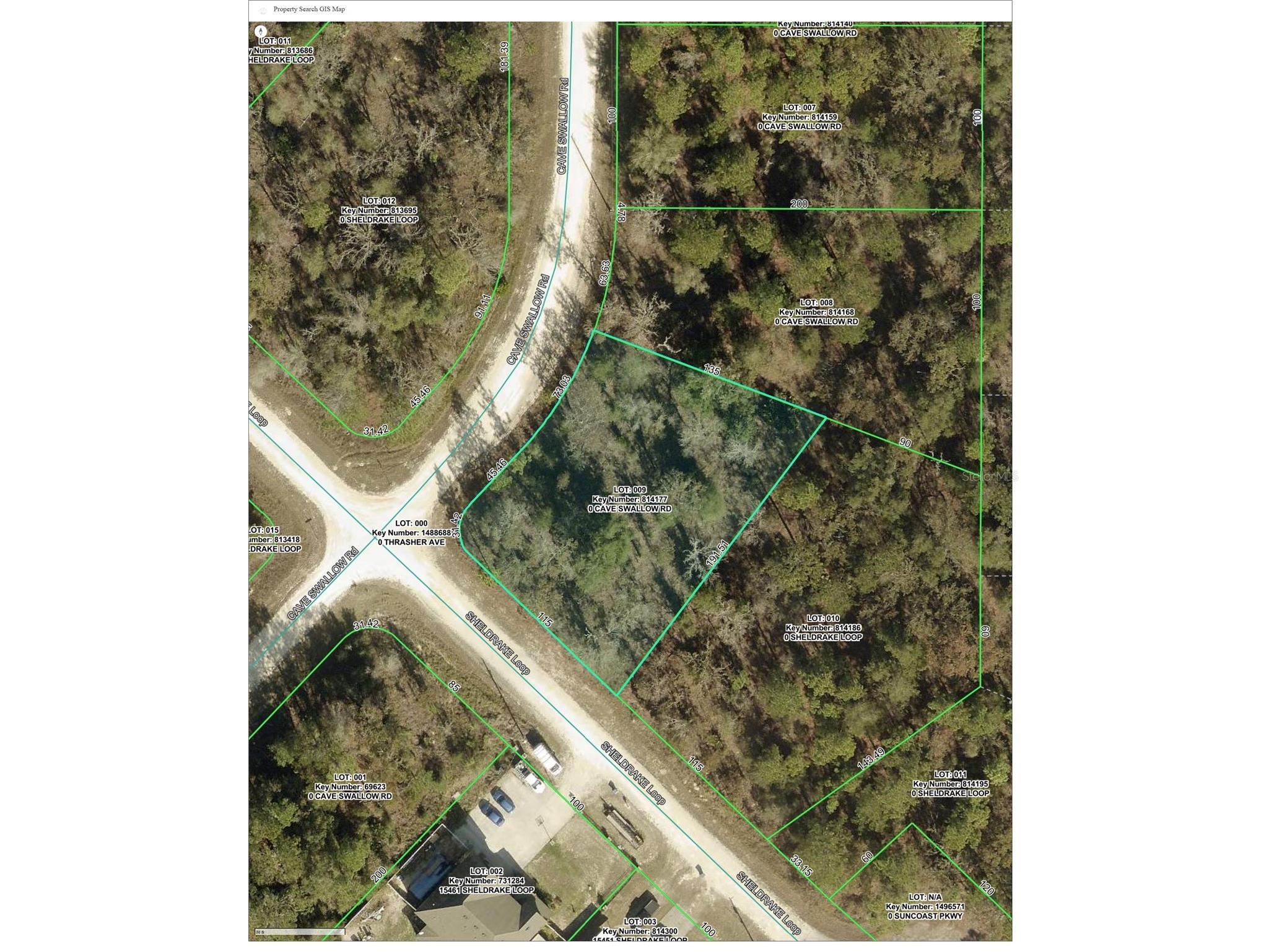 16008 Cave Swallow Road Brooksville FL 34614 TB8493728 image1