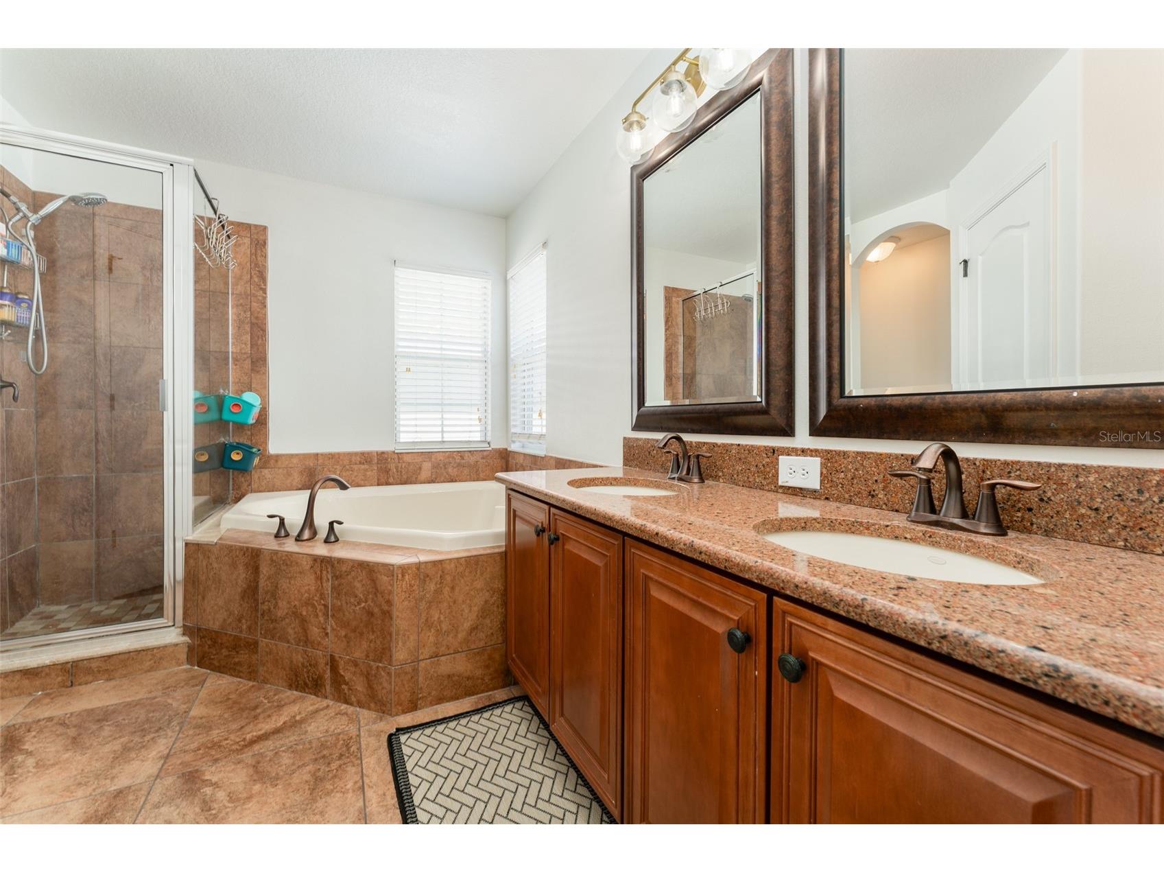 16008 Palmettorun Circle Lithia FL 33547 TB8502359 image22