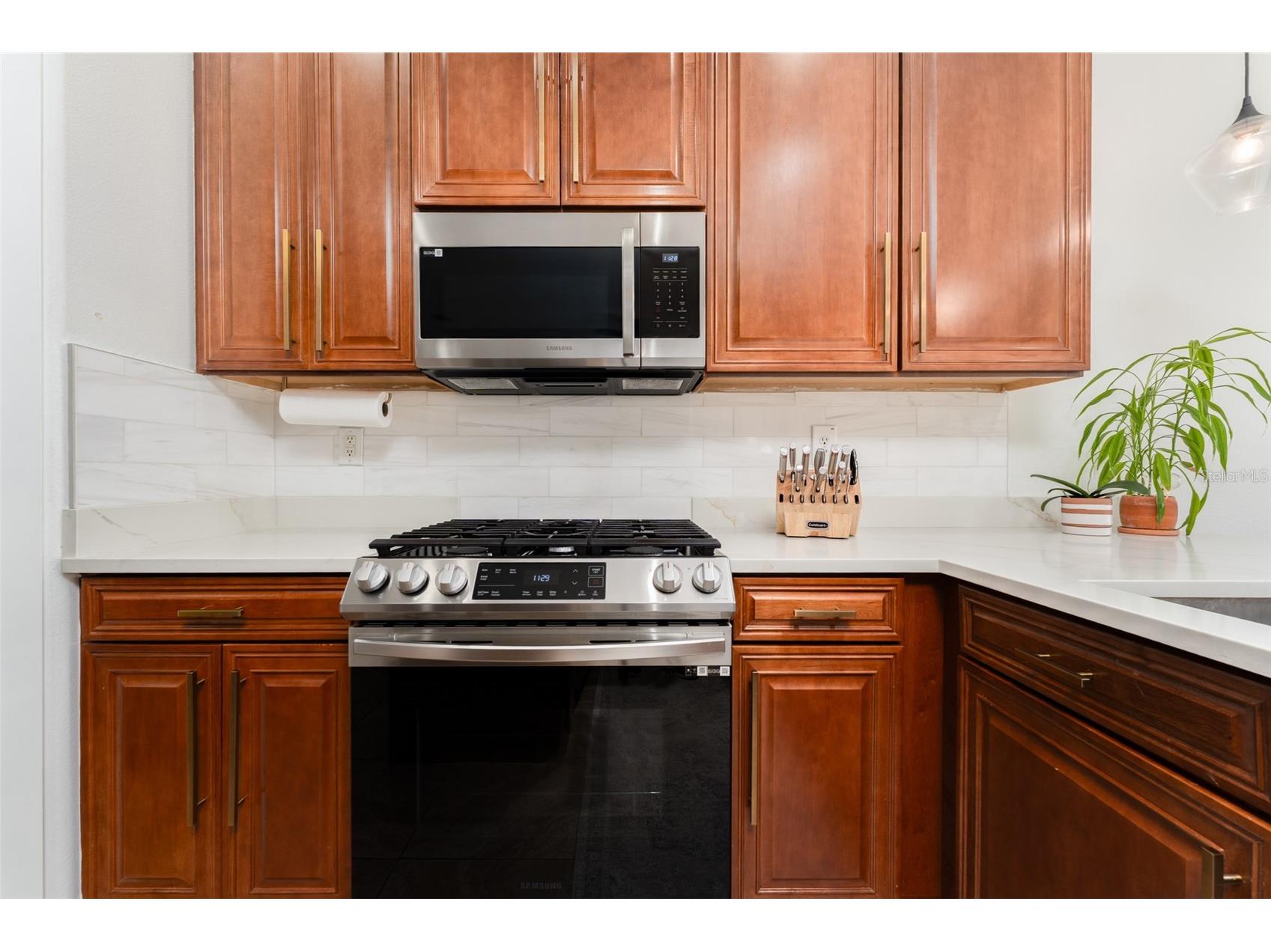 16008 Palmettorun Circle Lithia FL 33547 TB8502359 image6