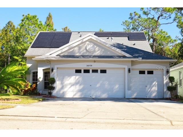 16008 Stags Leap Drive Lutz FL 33559 TB8446356 image1