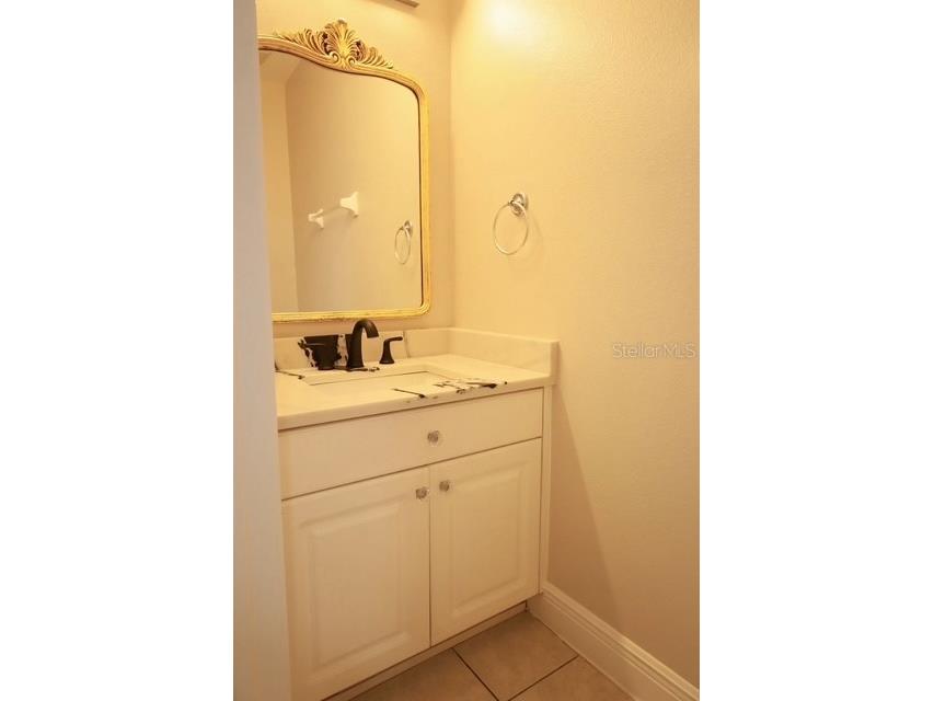 16008 Stags Leap Drive Lutz FL 33559 TB8446356 image20