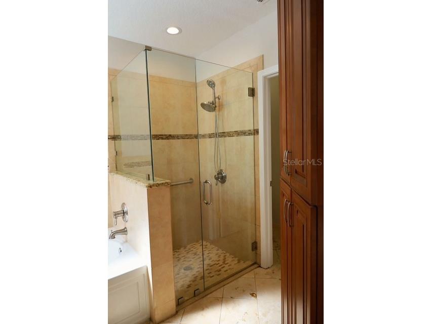 16008 Stags Leap Drive Lutz FL 33559 TB8446356 image25