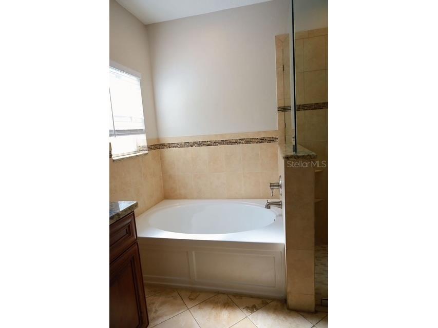 16008 Stags Leap Drive Lutz FL 33559 TB8446356 image26