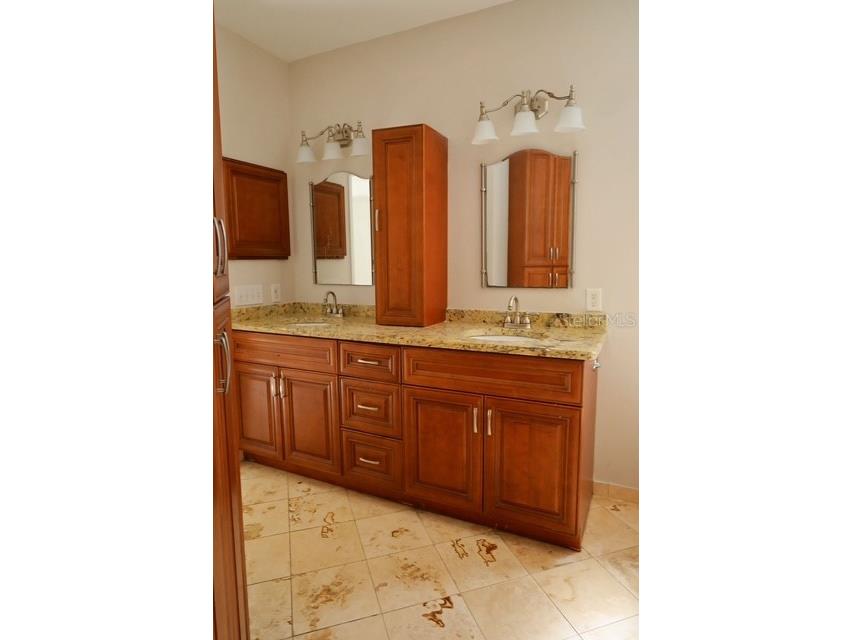 16008 Stags Leap Drive Lutz FL 33559 TB8446356 image29