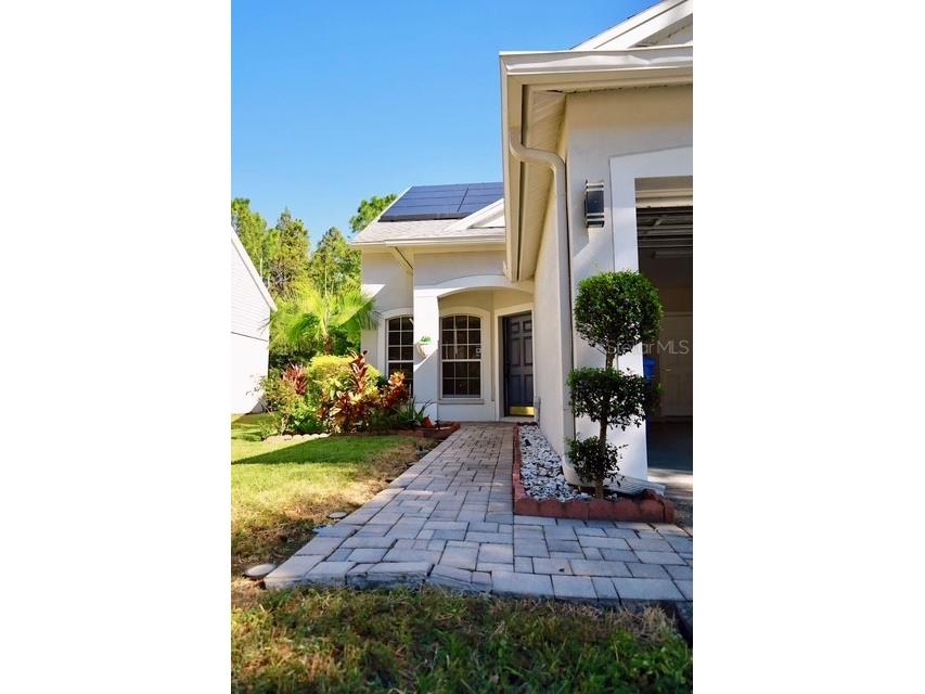 16008 Stags Leap Drive Lutz FL 33559 TB8446356 image3