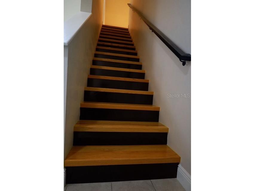 16008 Stags Leap Drive Lutz FL 33559 TB8446356 image36