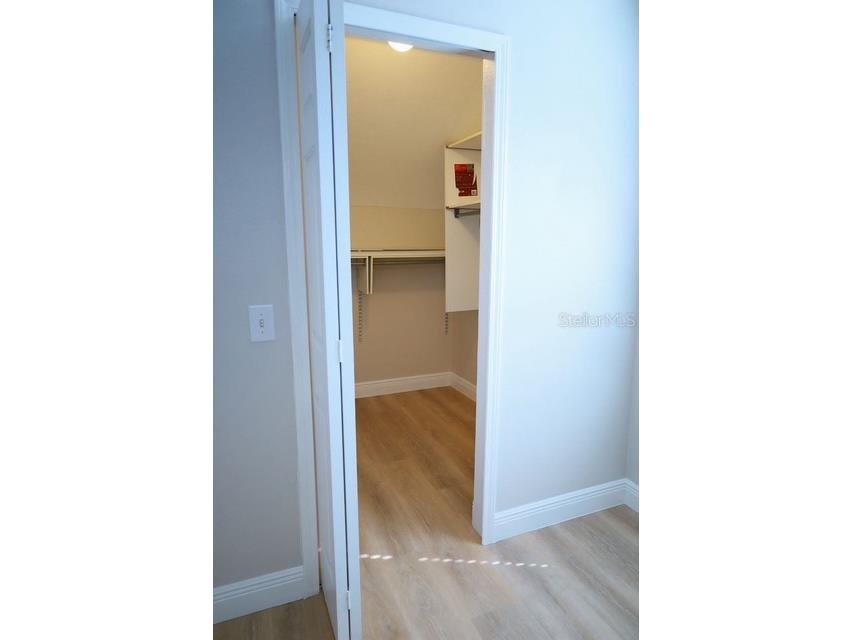 16008 Stags Leap Drive Lutz FL 33559 TB8446356 image37