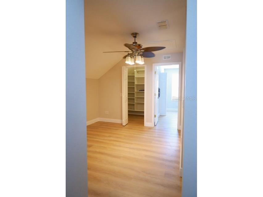 16008 Stags Leap Drive Lutz FL 33559 TB8446356 image38