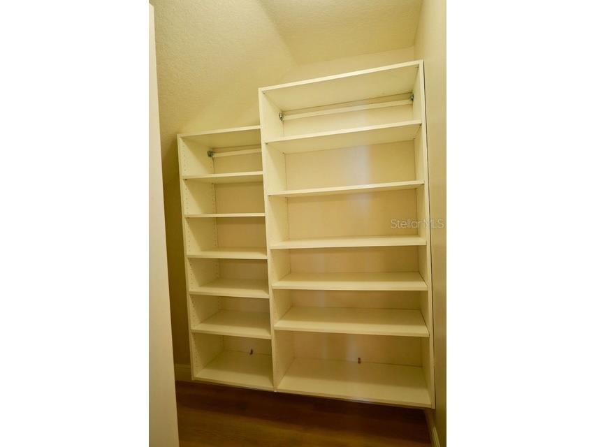 16008 Stags Leap Drive Lutz FL 33559 TB8446356 image41