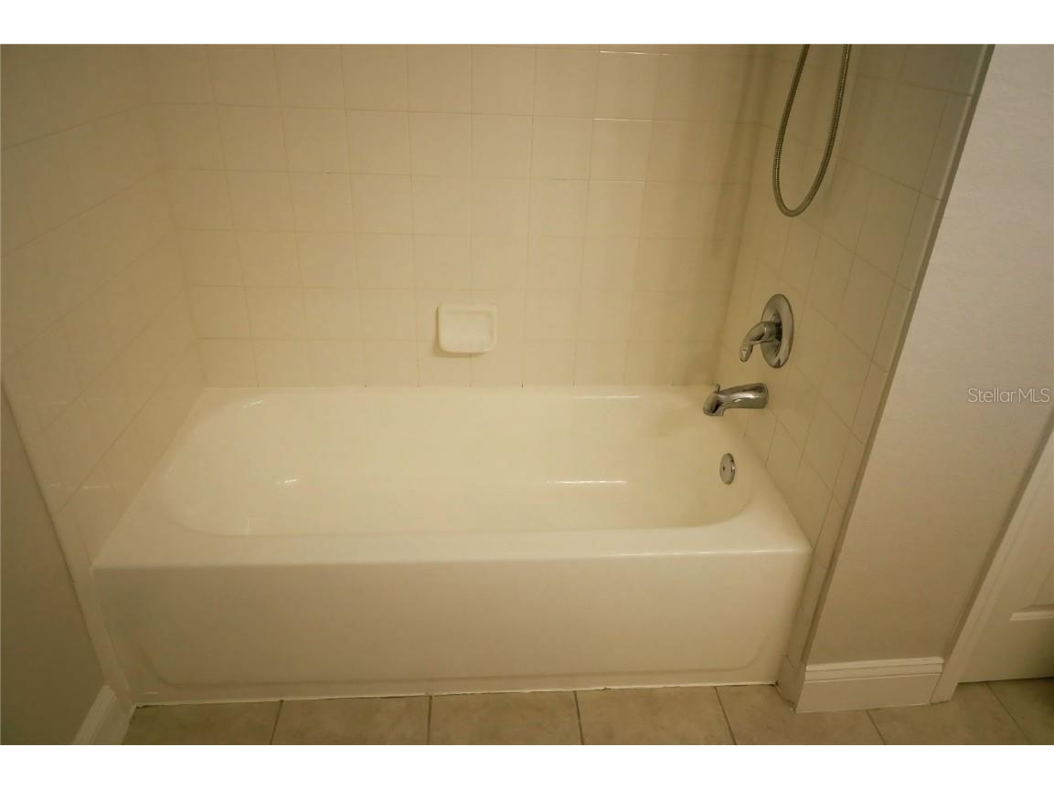 16008 Stags Leap Drive Lutz FL 33559 TB8446356 image45