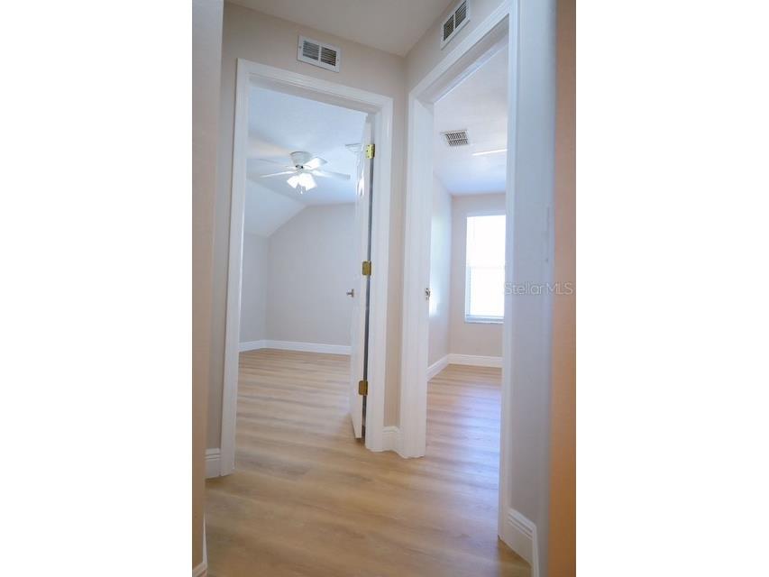 16008 Stags Leap Drive Lutz FL 33559 TB8446356 image47