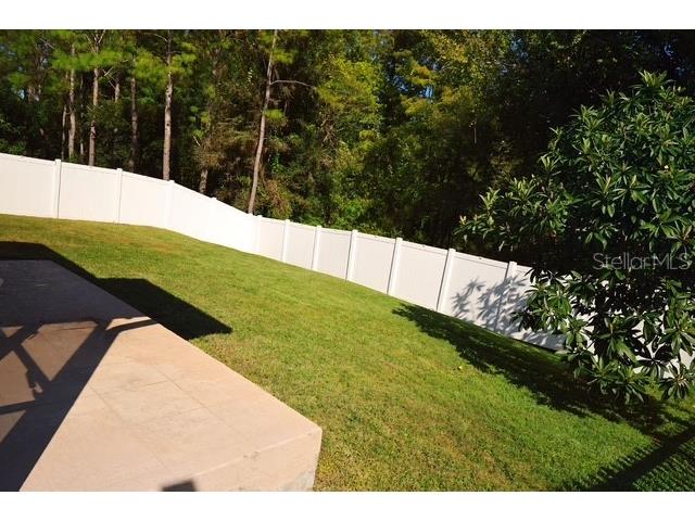 16008 Stags Leap Drive Lutz FL 33559 TB8446356 image54