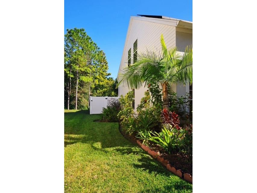 16008 Stags Leap Drive Lutz FL 33559 TB8446356 image57