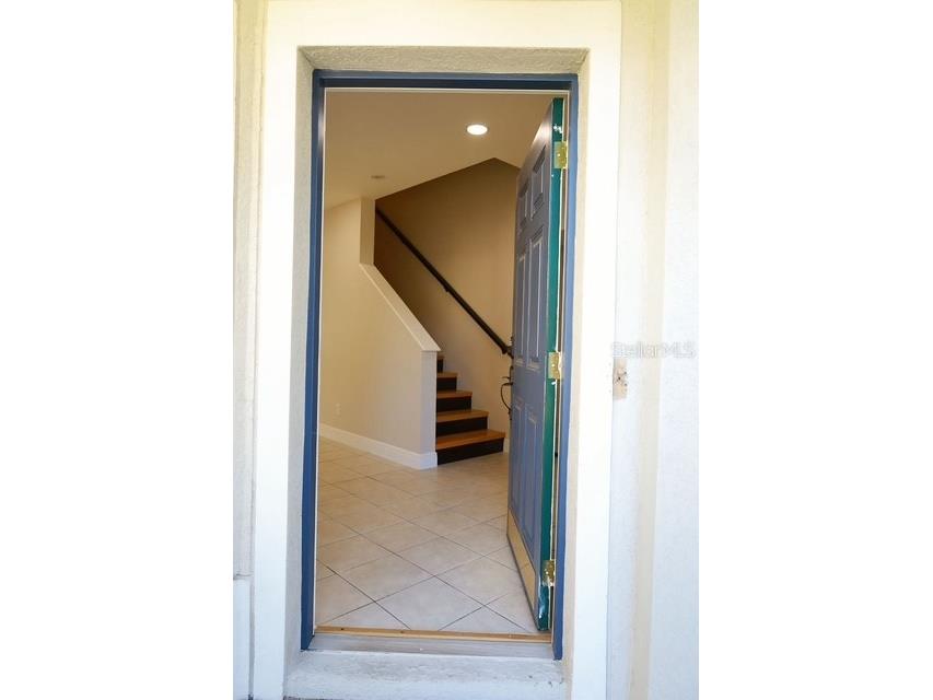 16008 Stags Leap Drive Lutz FL 33559 TB8446356 image7