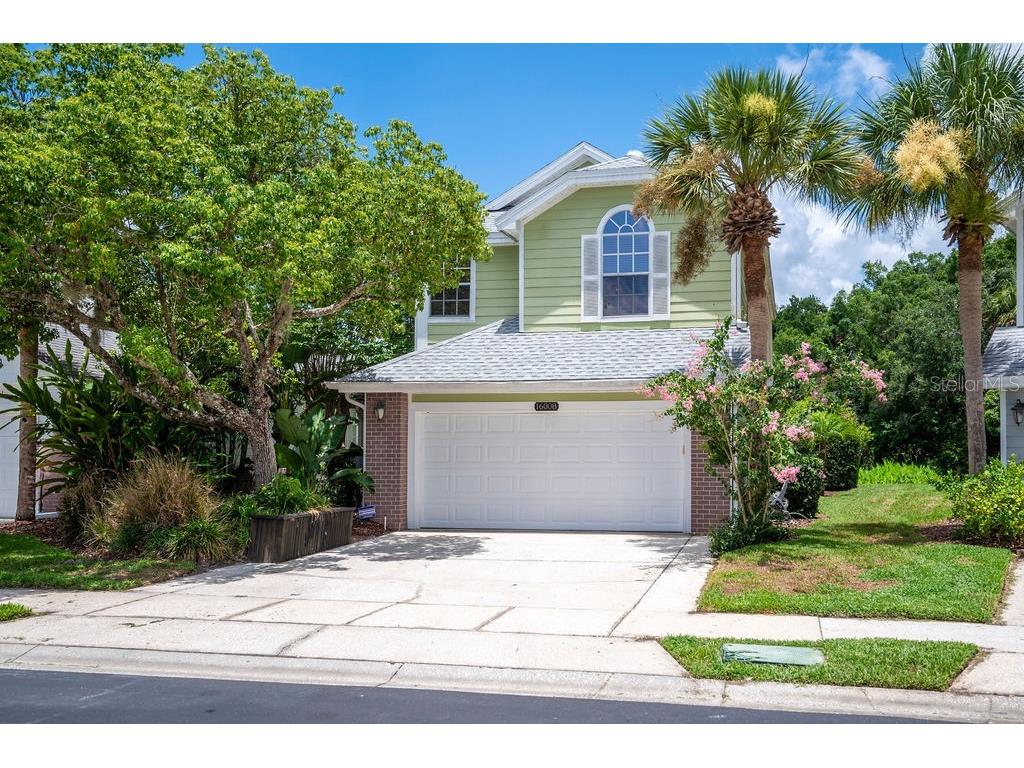 16008 Westerham Drive Tampa FL 33647 T3536332 image1