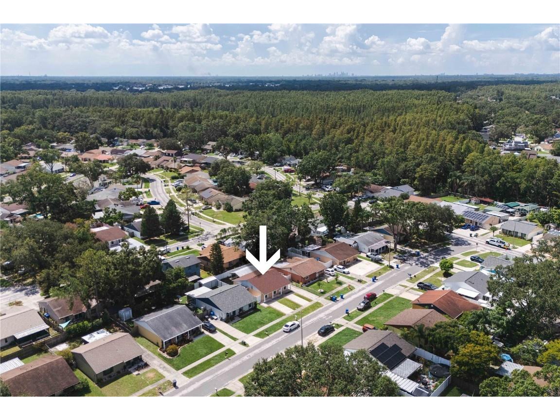 16009 Saddle Creek Drive Tampa FL 33618 TB8425282 image34