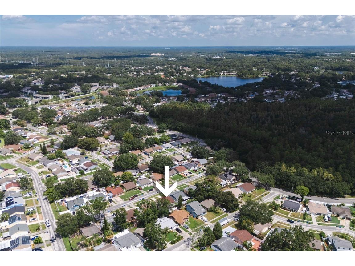 16009 Saddle Creek Drive Tampa FL 33618 TB8425282 image36