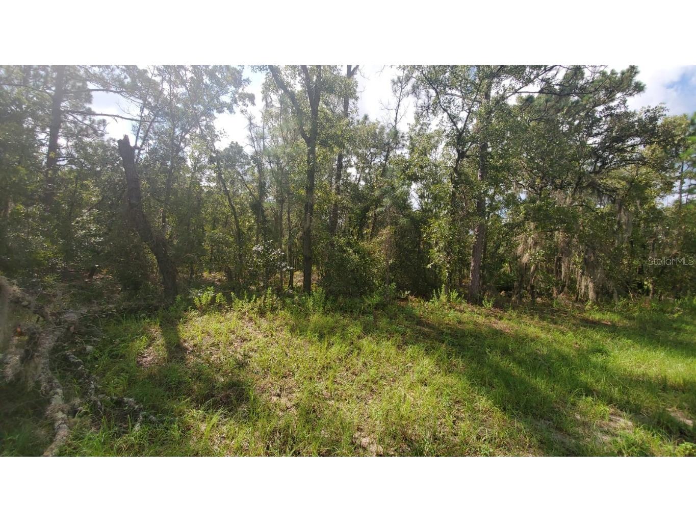 16009 SW 57th Terrace Road Ocala FL 34473 GC529044 image1