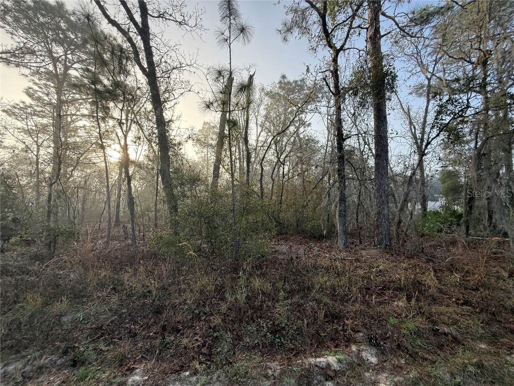 16009 SW 57th Terrace Road Ocala FL 34473 GC529044 image3