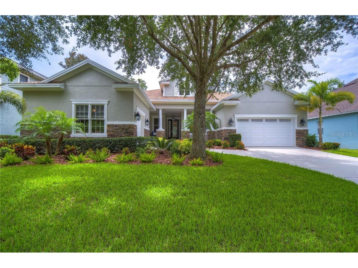 16009 Ternglade Drive Lithia FL 33547 T3459111 image1