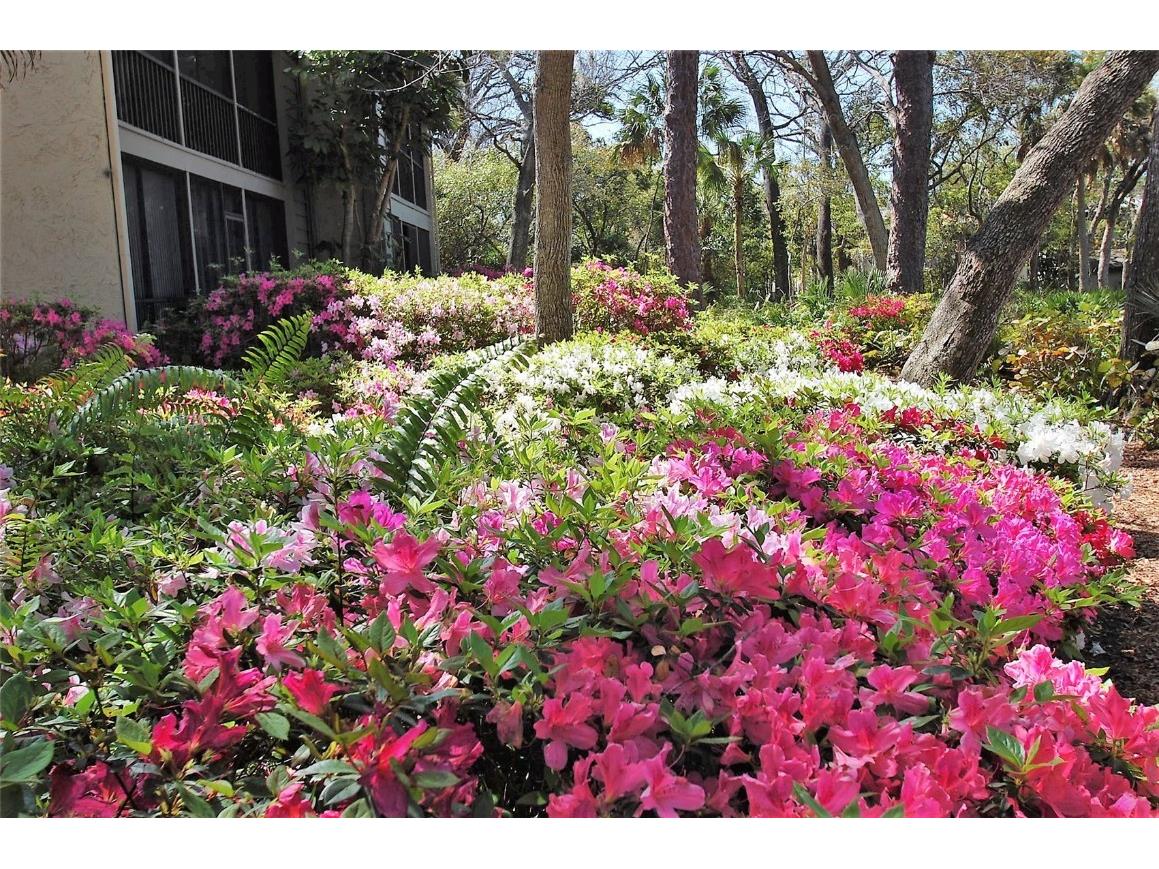 1601 Bayhouse Point Drive #BA206 Sarasota FL 34231 A4588397 image45