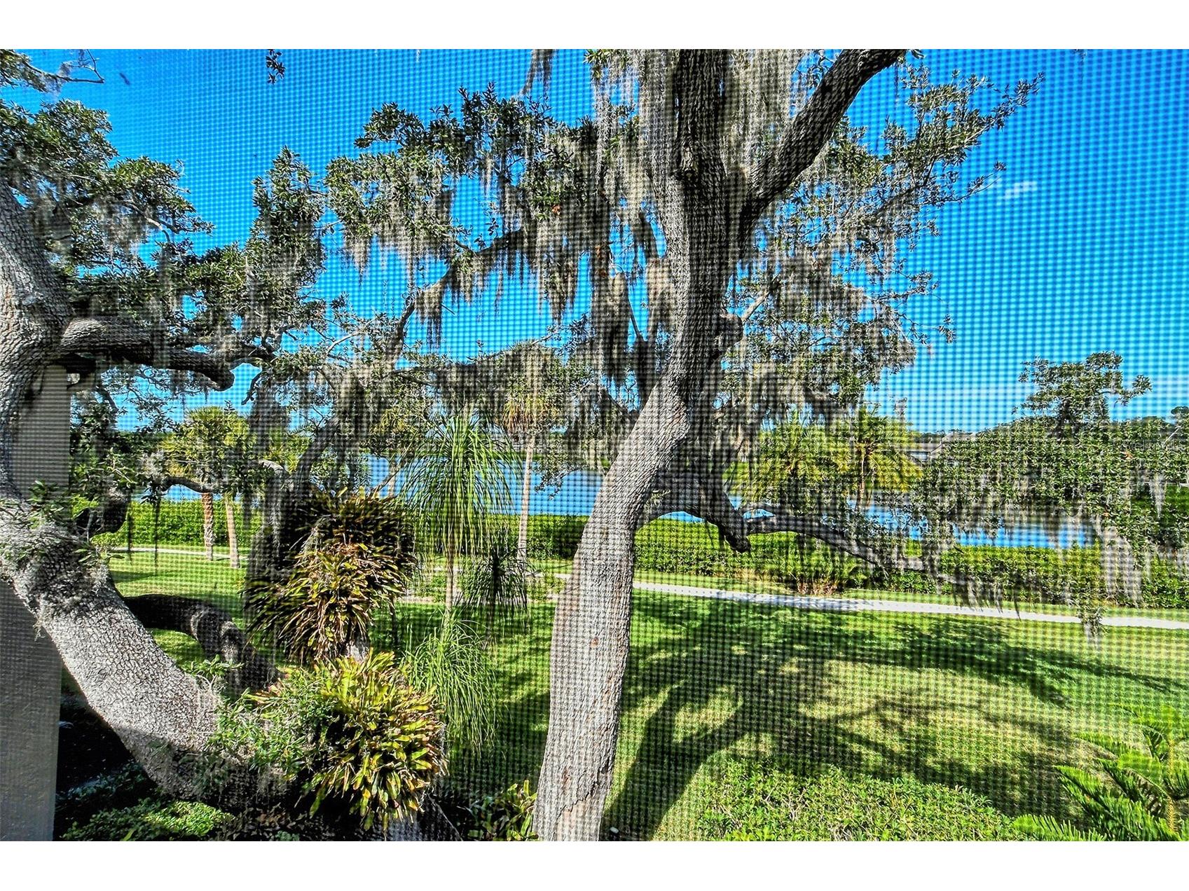 1601 Bayhouse Point Drive #BA206 Sarasota FL 34231 A4588397 image25