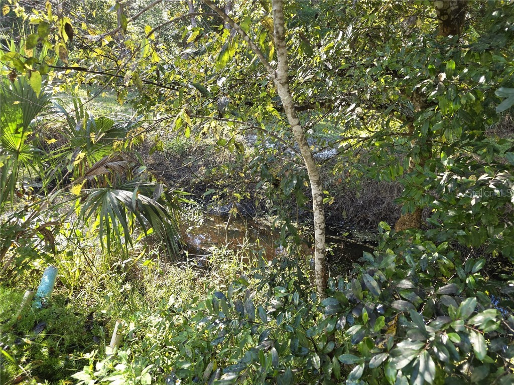 1601 Big Tree Rd #901 Daytona Beach FL 32119 O6359162 image58