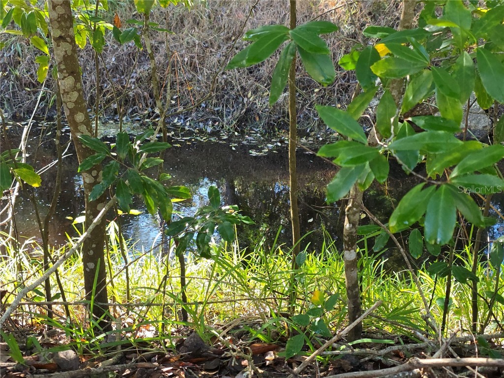 1601 Big Tree Rd #901 Daytona Beach FL 32119 O6359162 image59