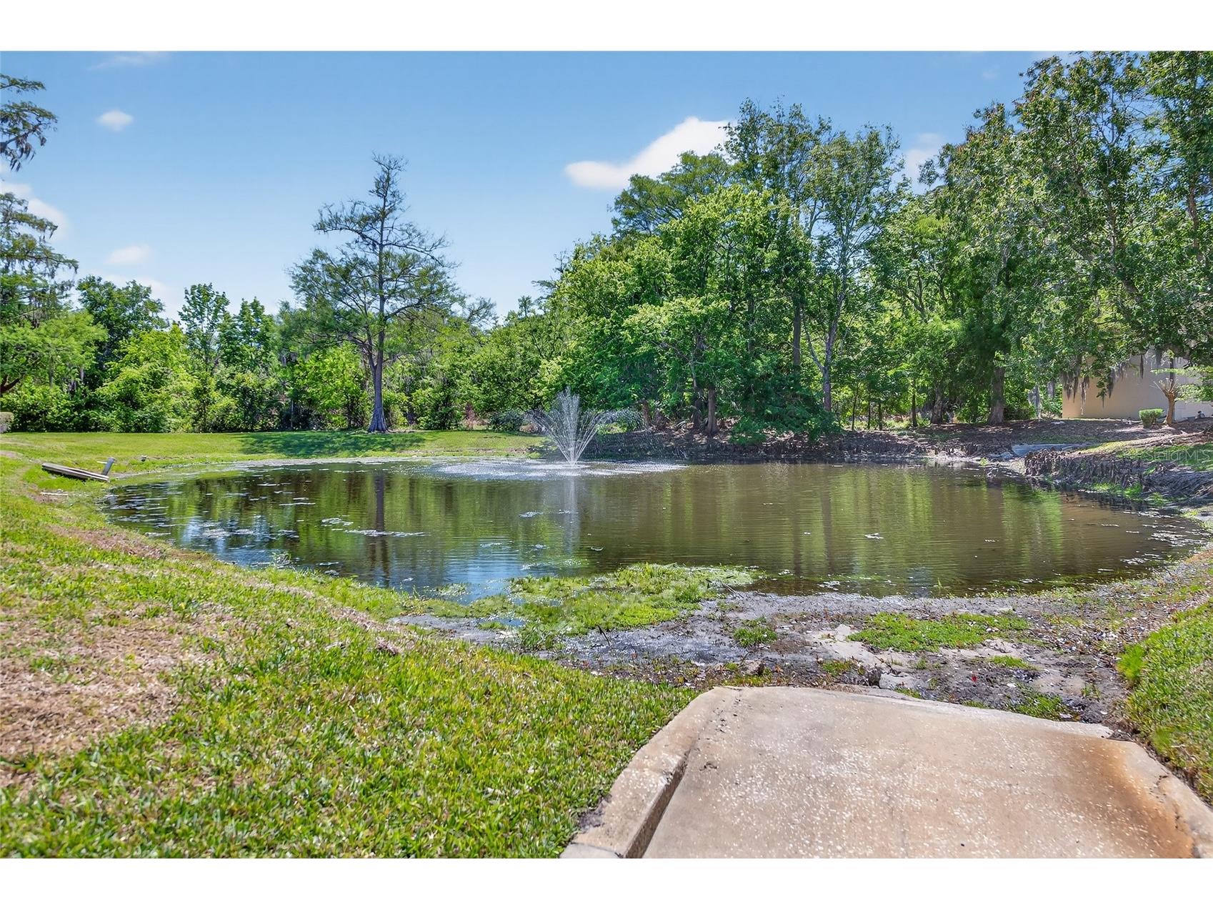 1601 Big Tree Road #101 South Daytona FL 32119 FC317165 image21