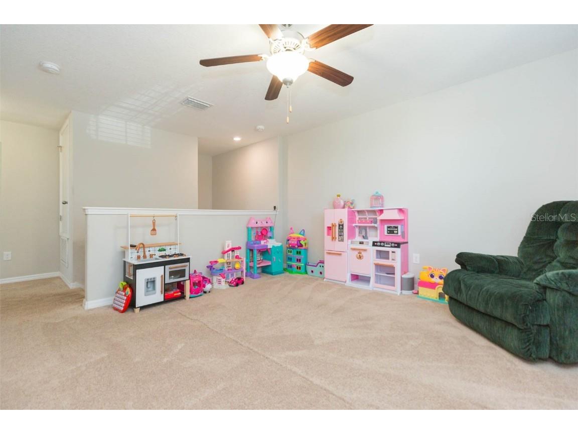 1601 Climbing Dayflower Drive Ruskin FL 33570 TB8440743 image18