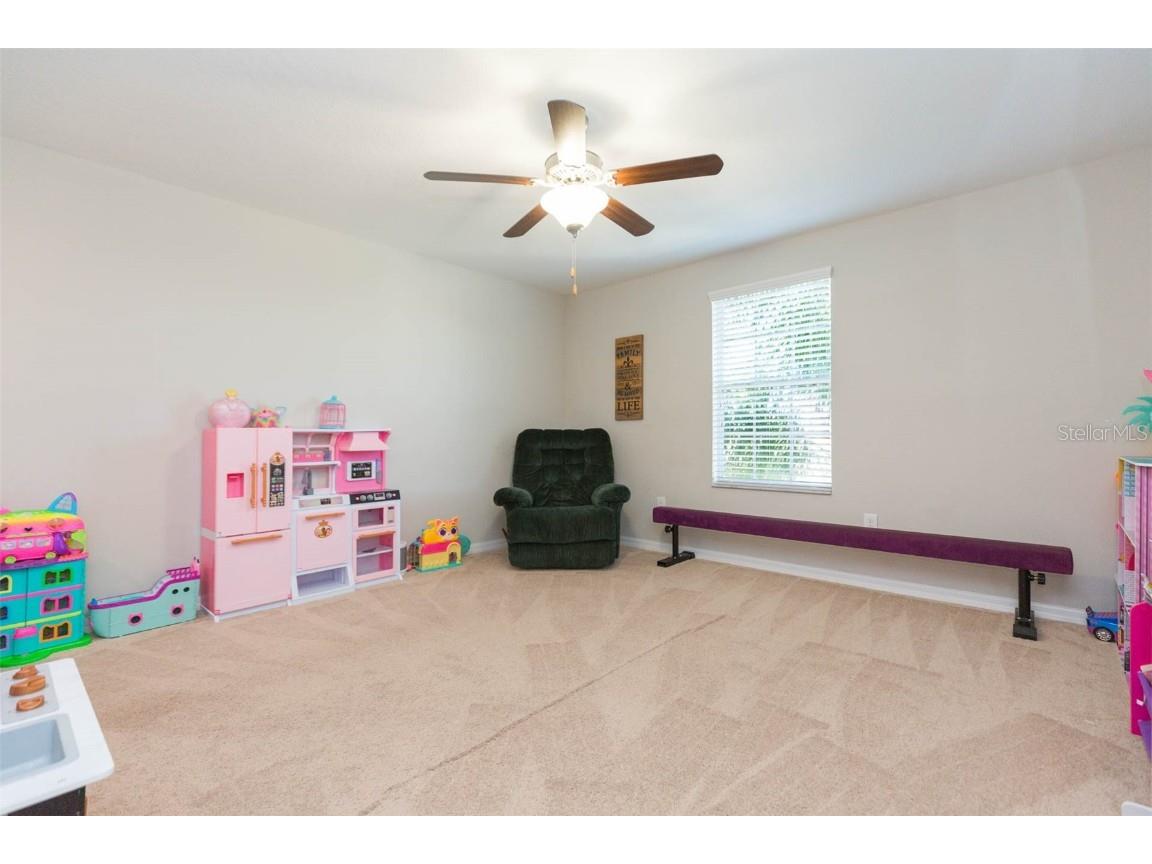 1601 Climbing Dayflower Drive Ruskin FL 33570 TB8440743 image19