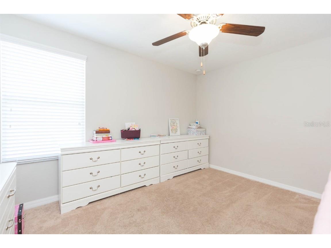 1601 Climbing Dayflower Drive Ruskin FL 33570 TB8440743 image20