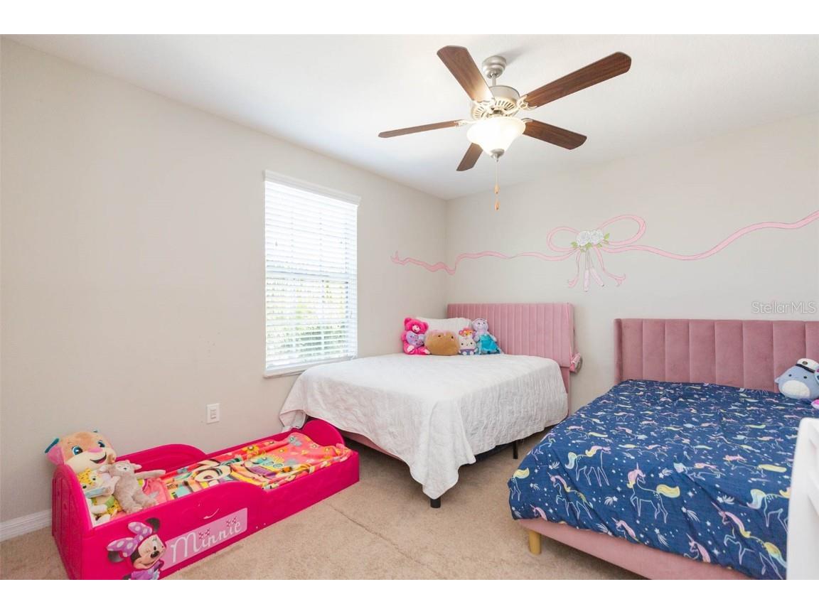 1601 Climbing Dayflower Drive Ruskin FL 33570 TB8440743 image22