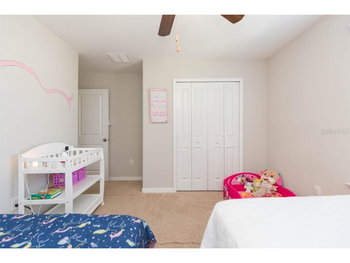 1601 Climbing Dayflower Drive Ruskin FL 33570 TB8440743 image23