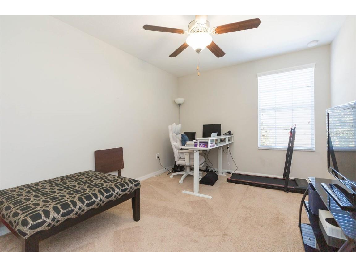 1601 Climbing Dayflower Drive Ruskin FL 33570 TB8440743 image25