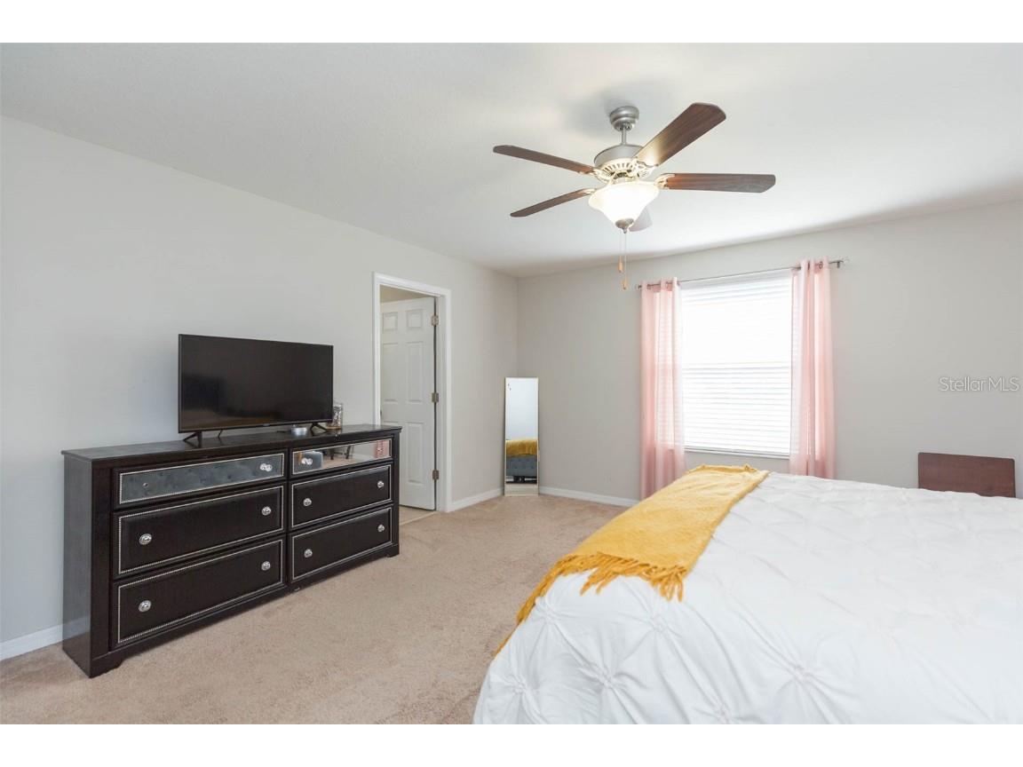 1601 Climbing Dayflower Drive Ruskin FL 33570 TB8440743 image28