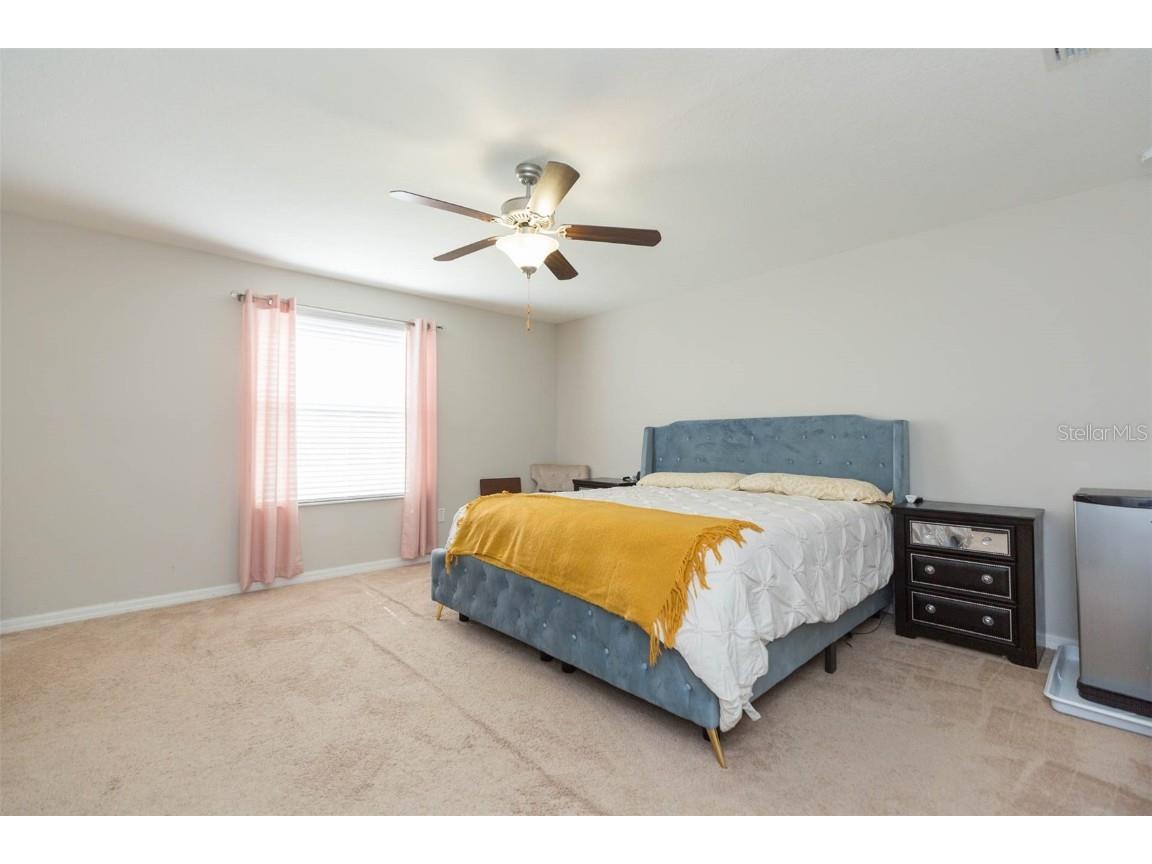 1601 Climbing Dayflower Drive Ruskin FL 33570 TB8440743 image29