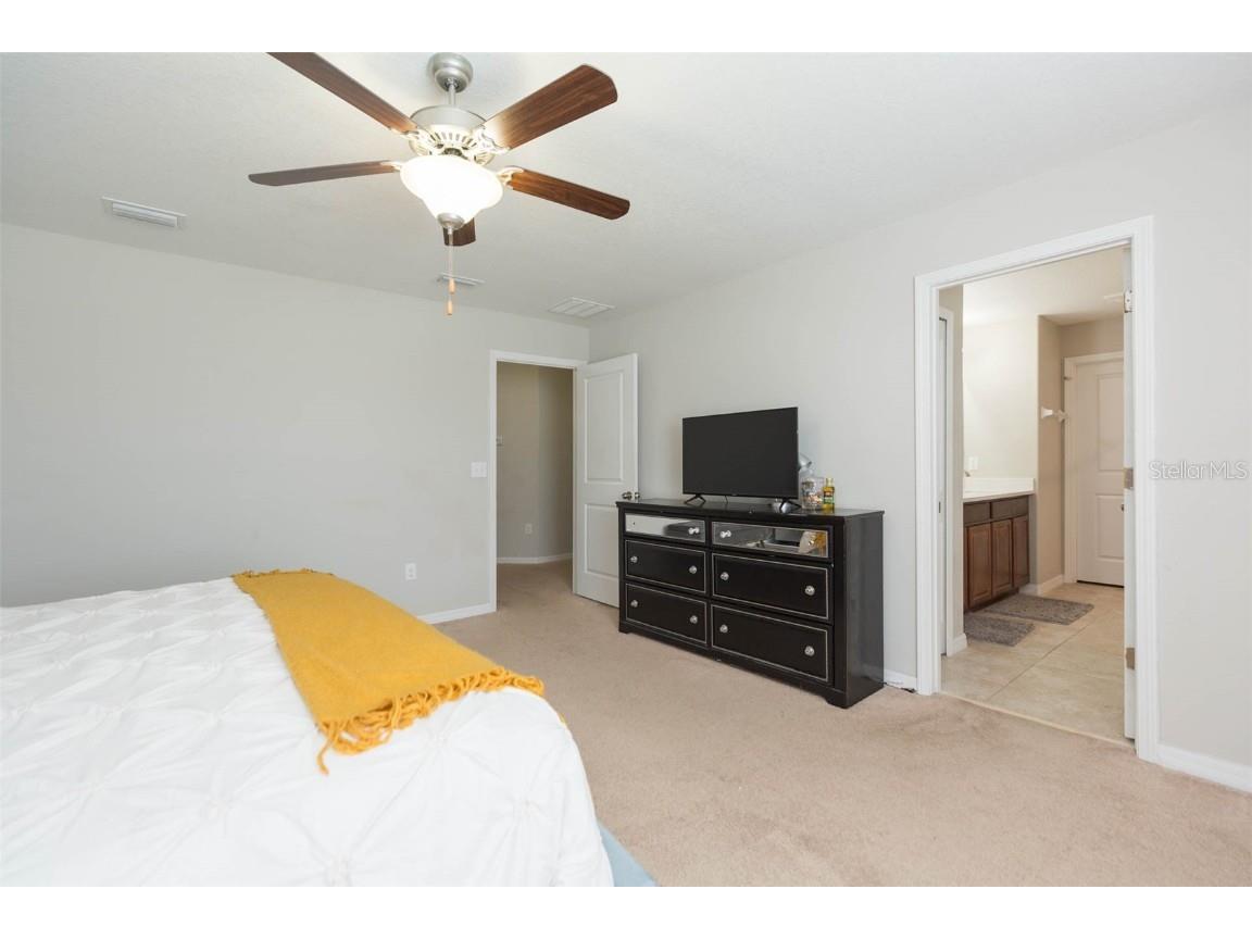 1601 Climbing Dayflower Drive Ruskin FL 33570 TB8440743 image30