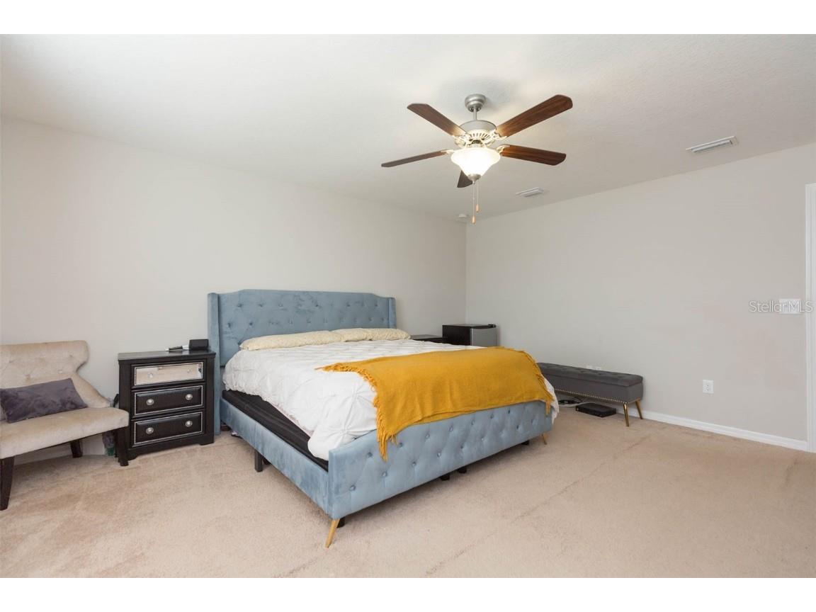 1601 Climbing Dayflower Drive Ruskin FL 33570 TB8440743 image31