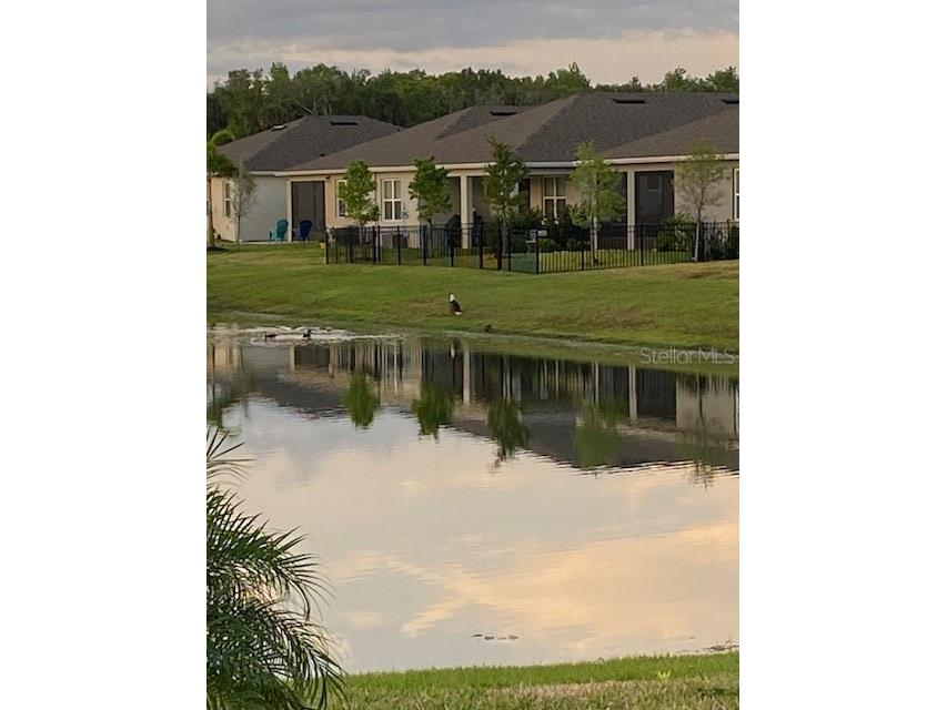 1601 Delphi Way New Smyrna Beach FL 32168 V4946511 image39