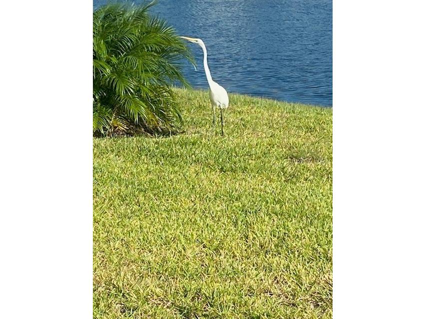 1601 Delphi Way New Smyrna Beach FL 32168 V4946511 image40
