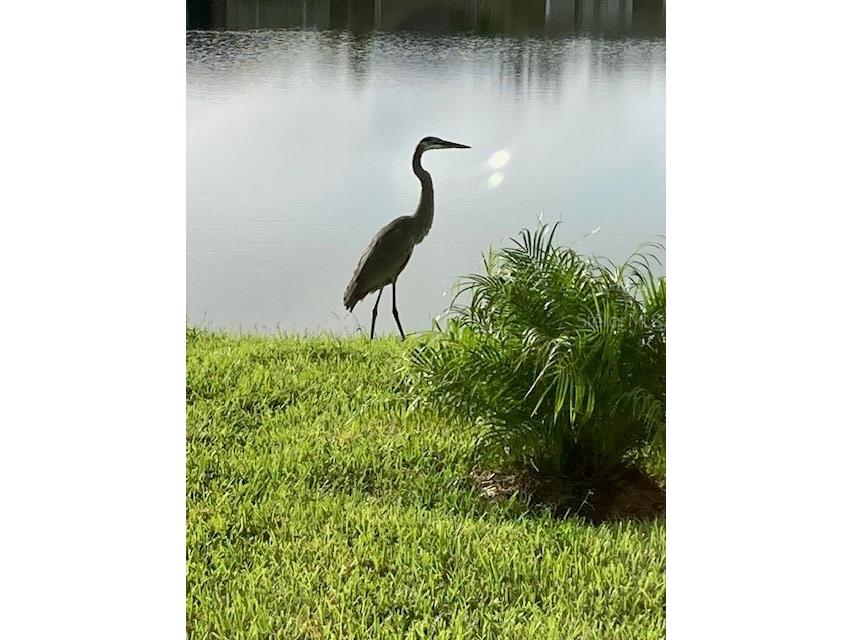 1601 Delphi Way New Smyrna Beach FL 32168 V4949095 image20