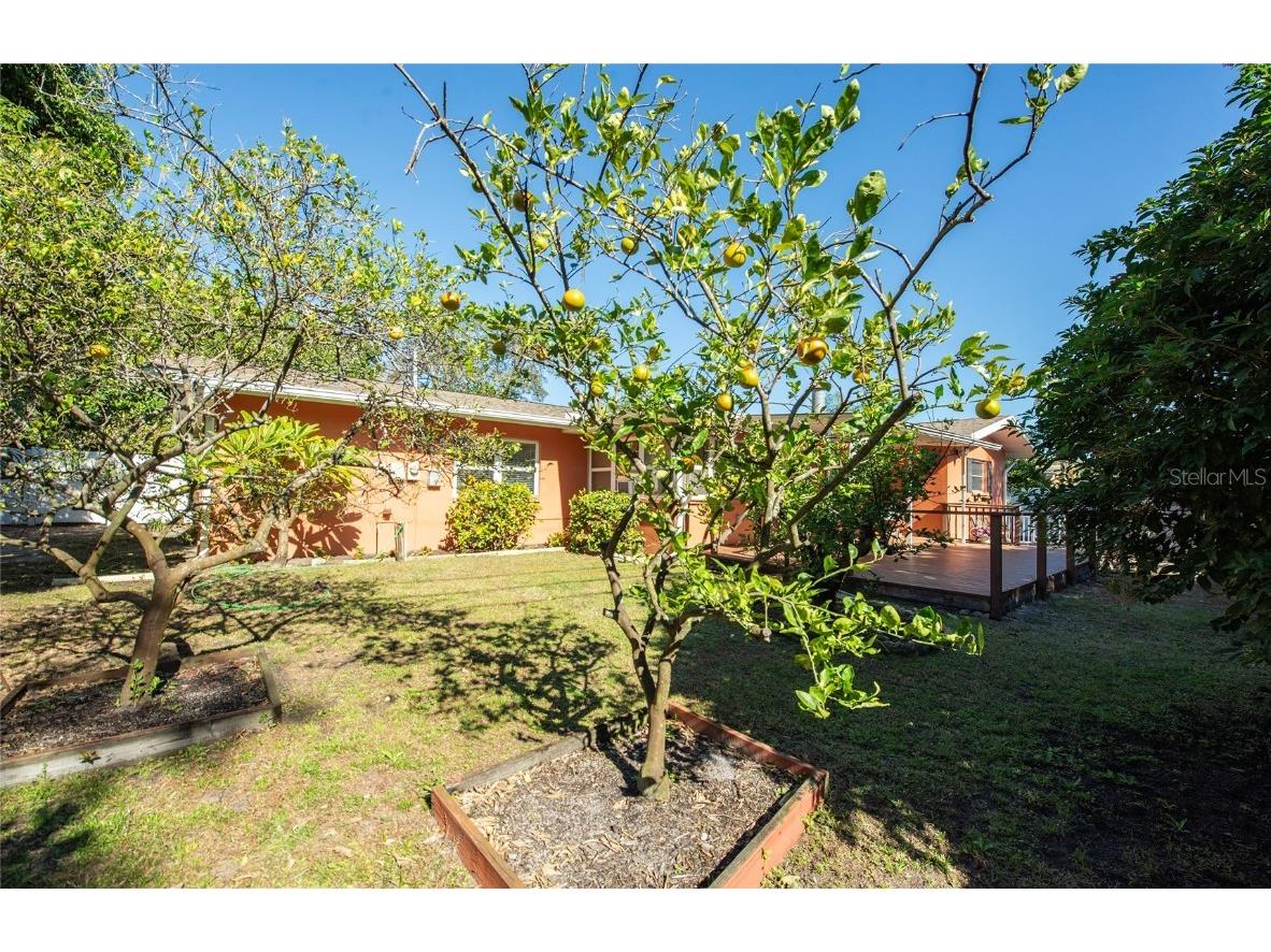 1601 Idle Drive Clearwater FL 33756 TB8457785 image37