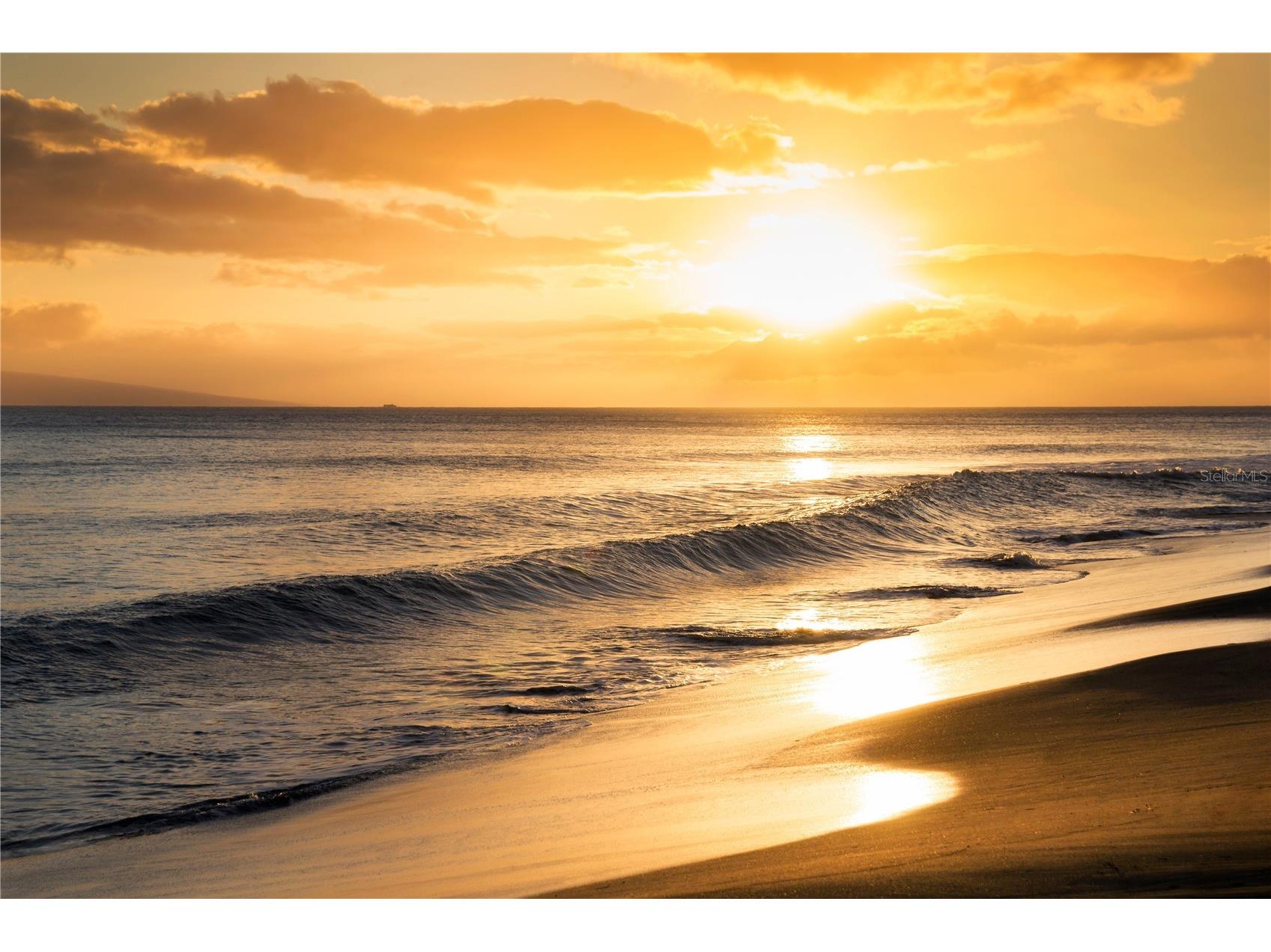 1601 N Central Avenue #801 Flagler Beach FL 32136 V4948755 image59